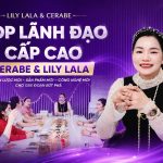 HỌP LÃNH ĐẠO CẤP CAO CERABE & LILY LALA