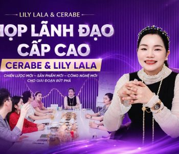 HỌP LÃNH ĐẠO CẤP CAO CERABE & LILY LALA