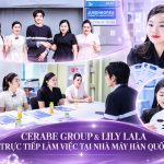 Cerabe Group & Lily Lala trực tiếp làm việc tại nhà máy Hàn Quốc